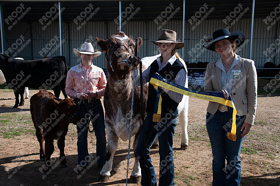 2025 August 9th Crystal Brook Show